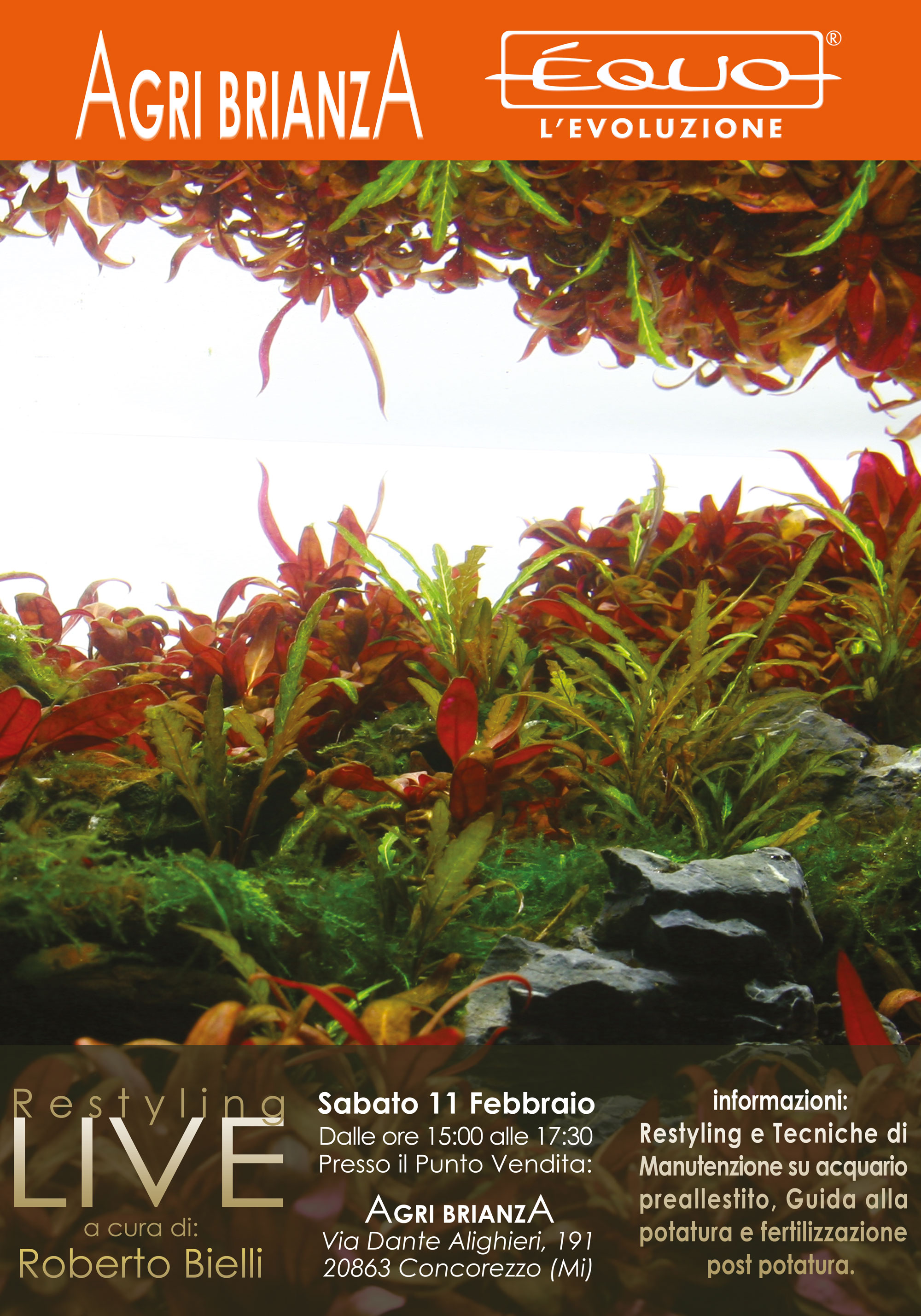 E’QUO WORKSHOP SATURDAY 11 FEBRUARY AT AGRIBRIANZA…WE LOOK FORWARD TO SEEING YOU