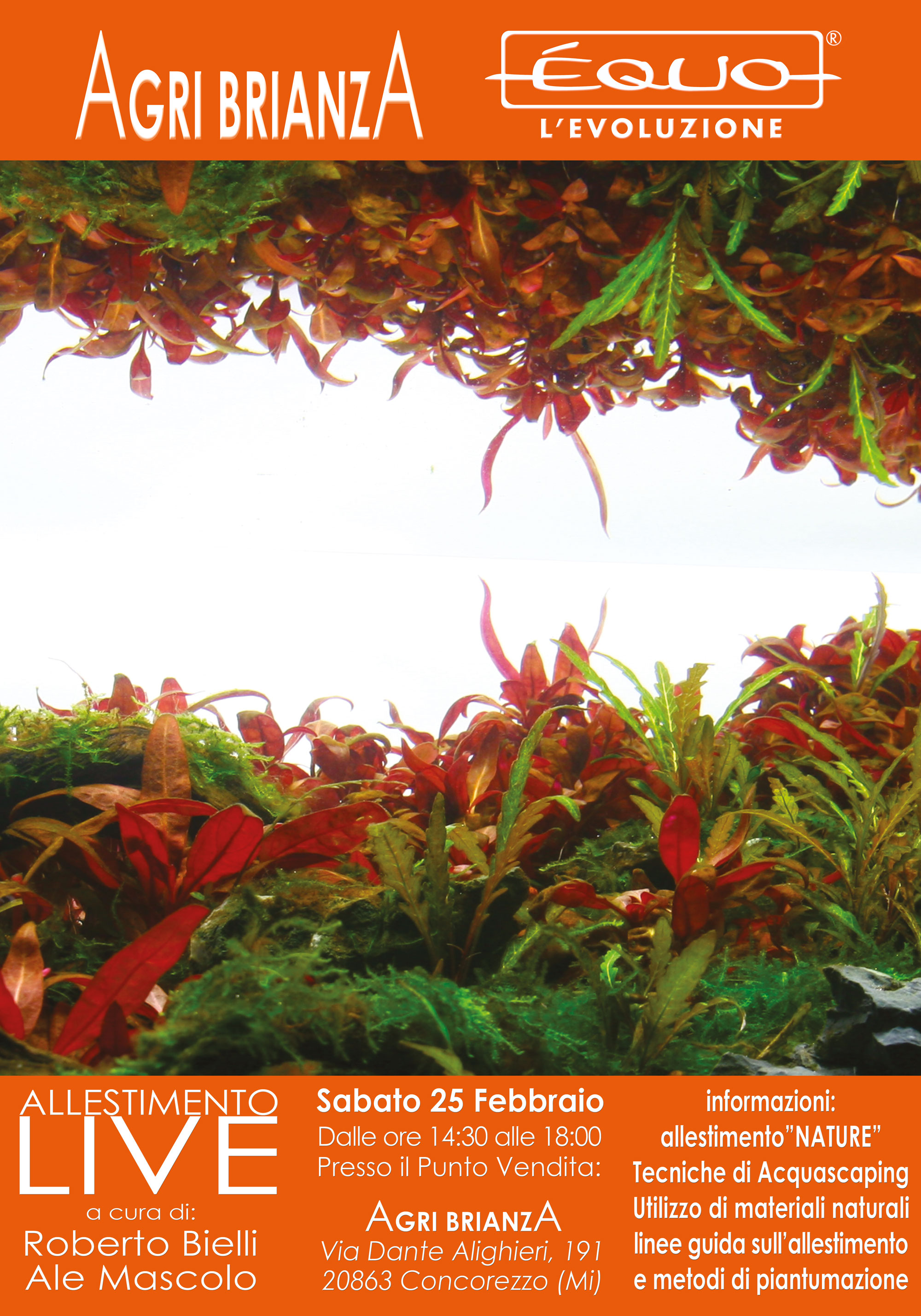 WORKSHOP E’QUO SATURDAY 25 FEBRUARY AT AGRIBRIANZA…DON’T MISS IT